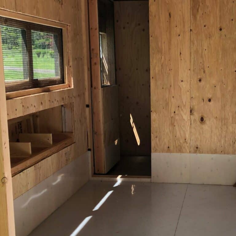 Customizable Backyard Chicken Coops For Sale in WA