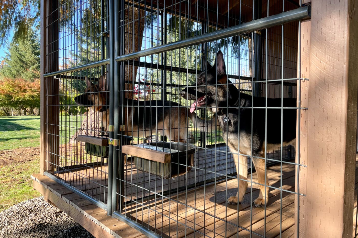 dog kennels for winter in or
