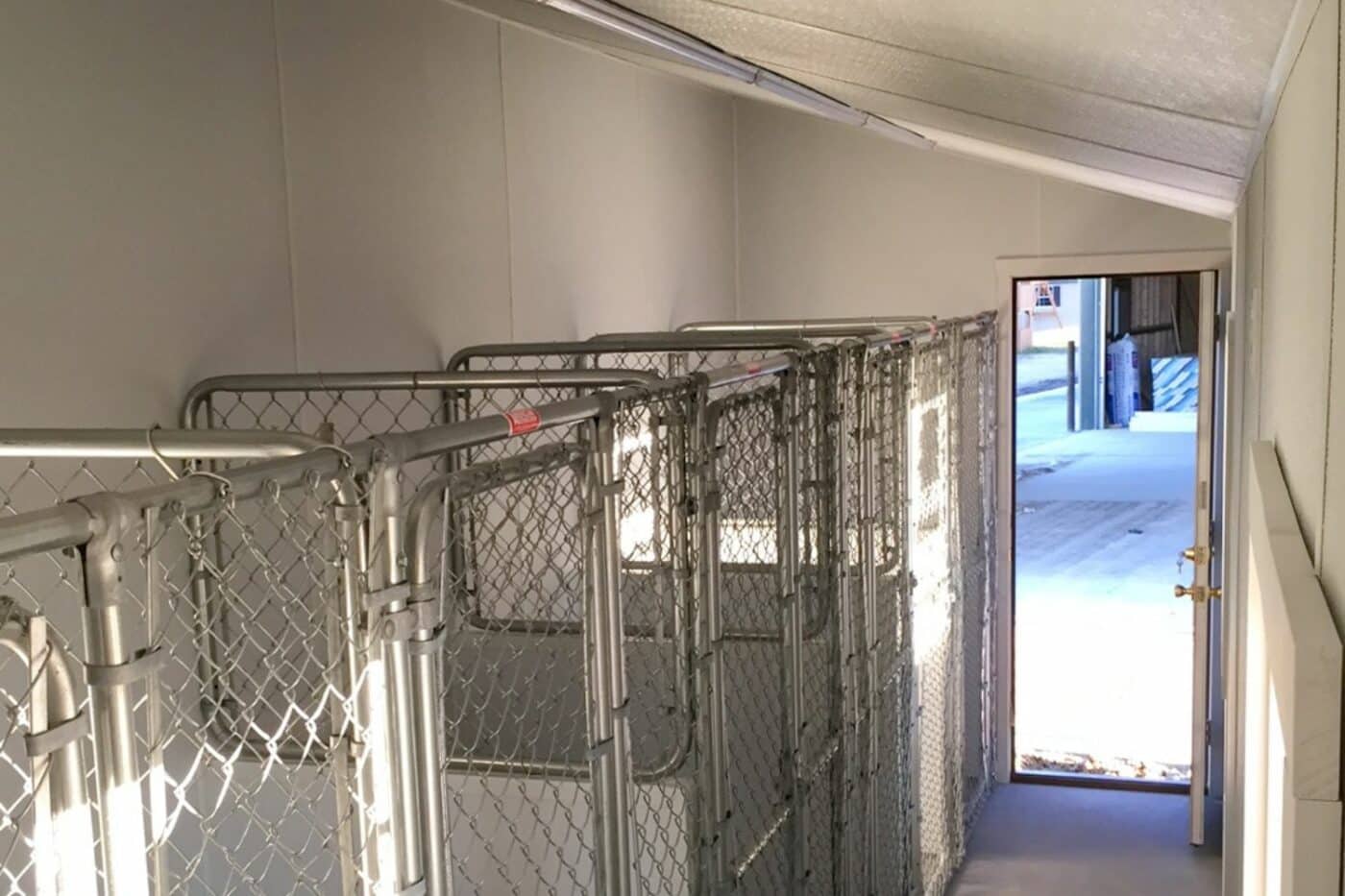 commercial dog kennel interior