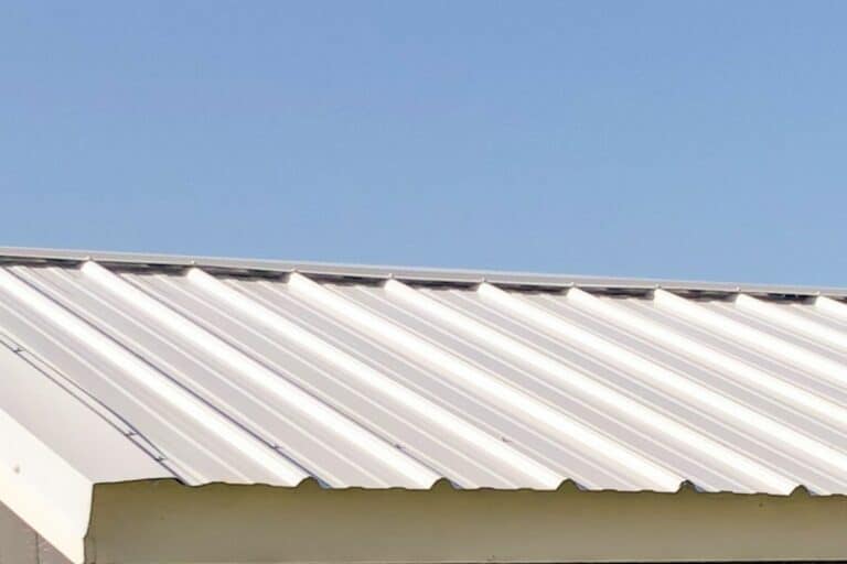 metal roof on outdoor dog kennel in washington