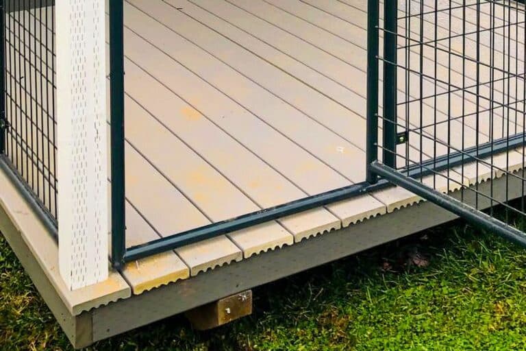 metal roof on outdoor dog kennel in washington