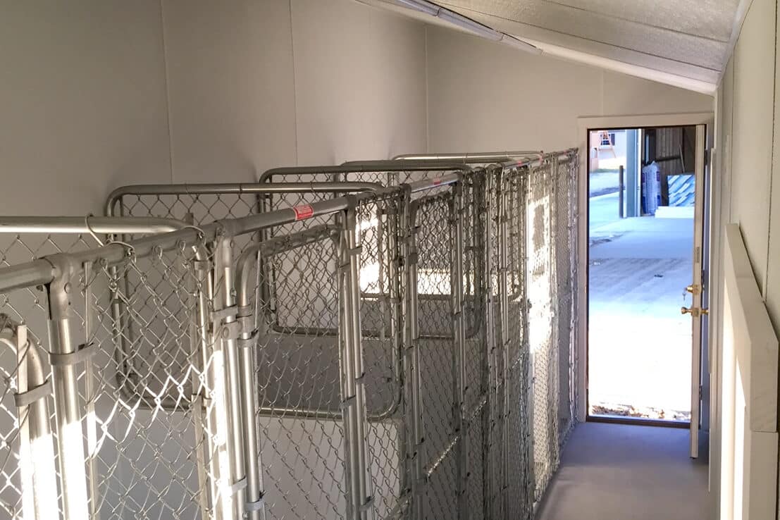 custom dog kennels commercial interior