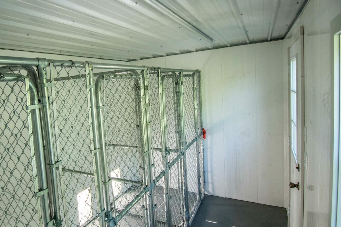 custom dog kennels interior in wa