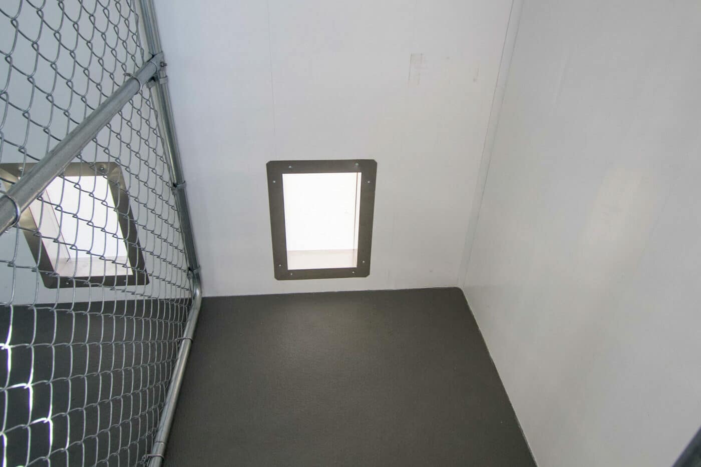 custom dog kennels interior