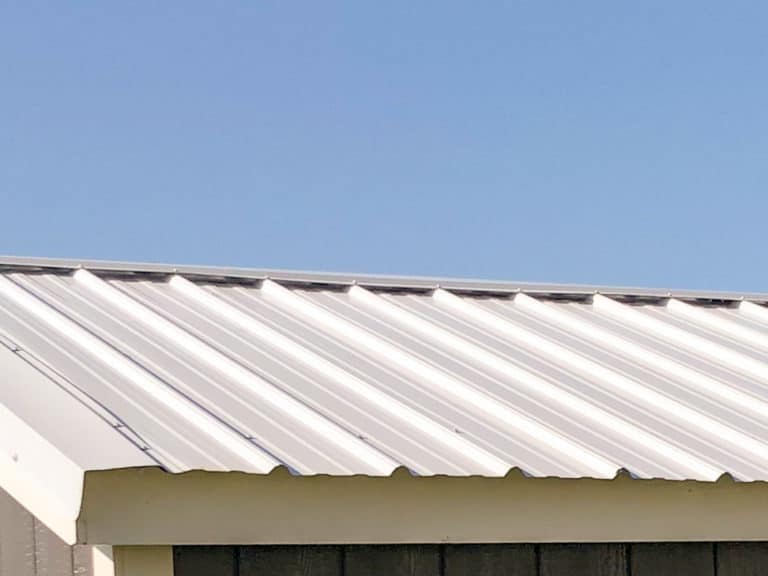 metal roof on outdoor dog kennel in washington