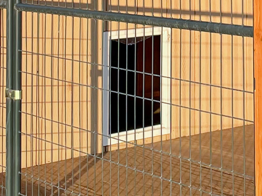 outdoor dog kennel with run for sale in oregon copy