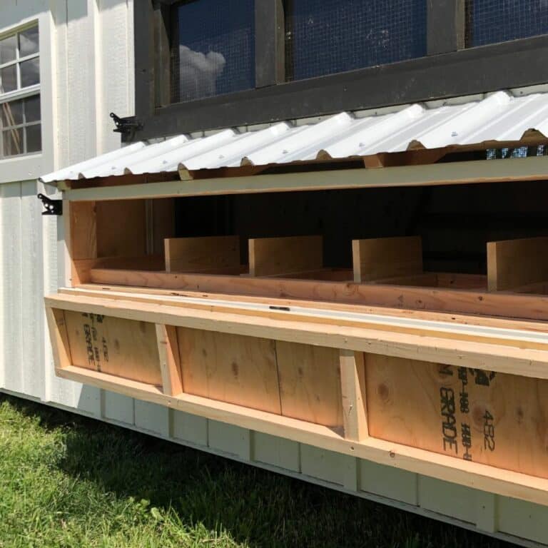 Exterior Options for Backyard Chicken Coops For Sale in WA