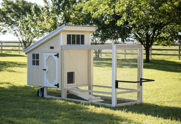 chicken coops and dog kennels in beaverton or