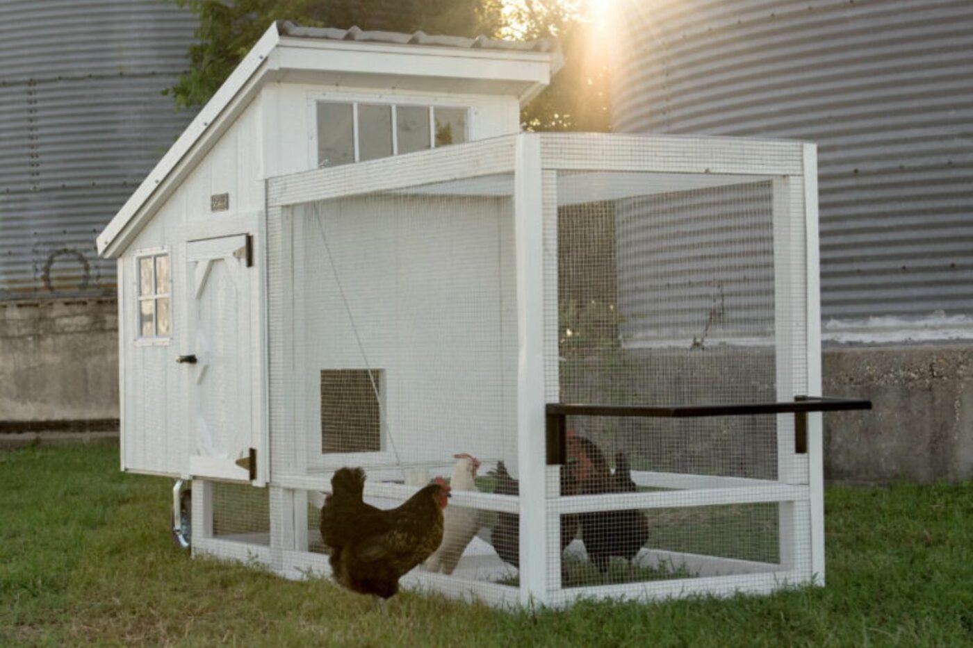 chicken coop sheds in medford or
