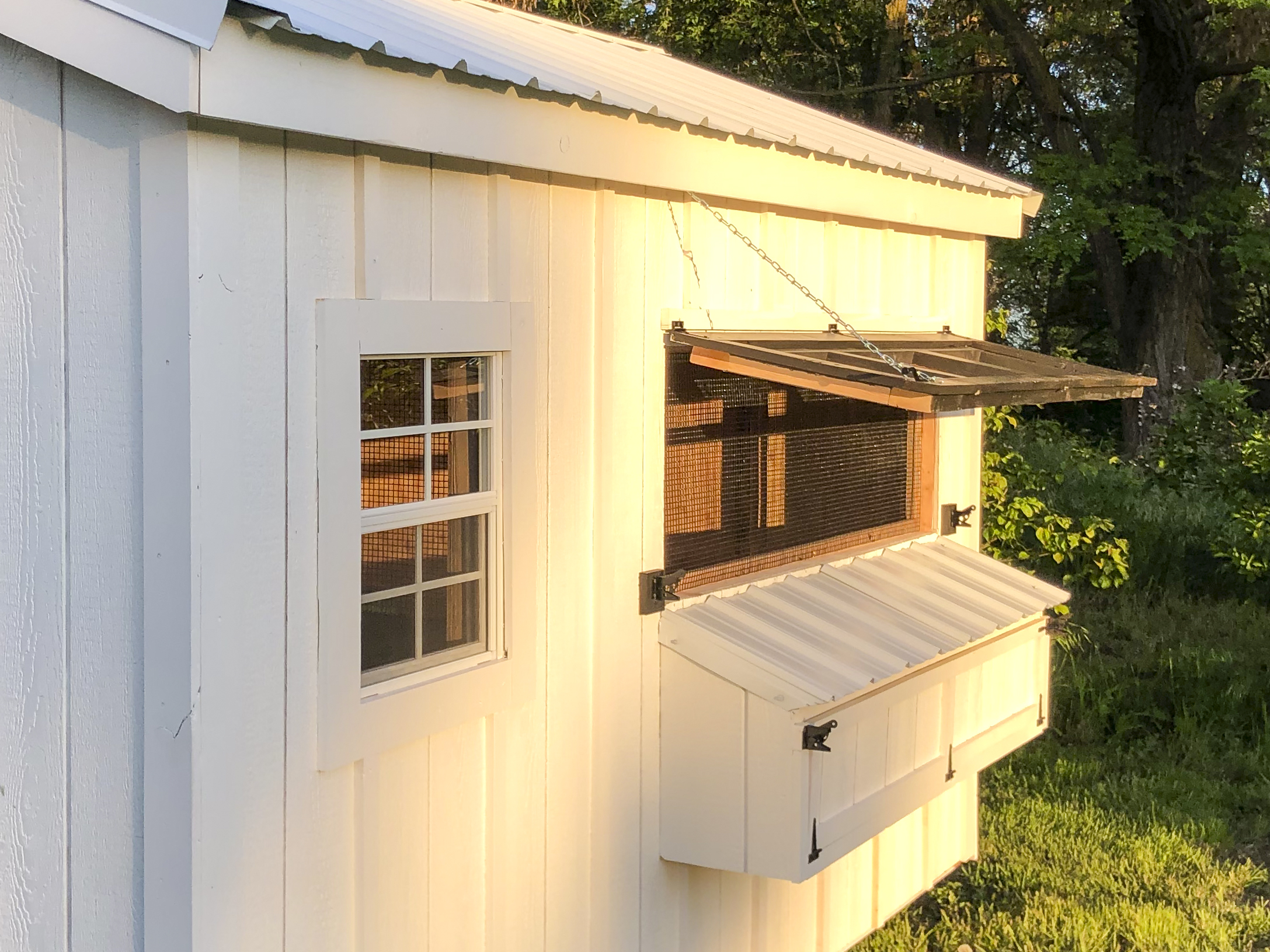 Prefab-Chicken-Coops-in-Oregon