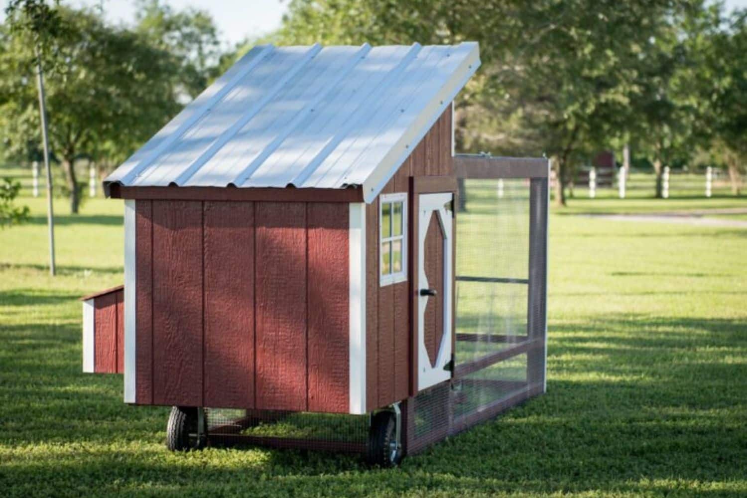 chicken coops and dog kennels in springfield or