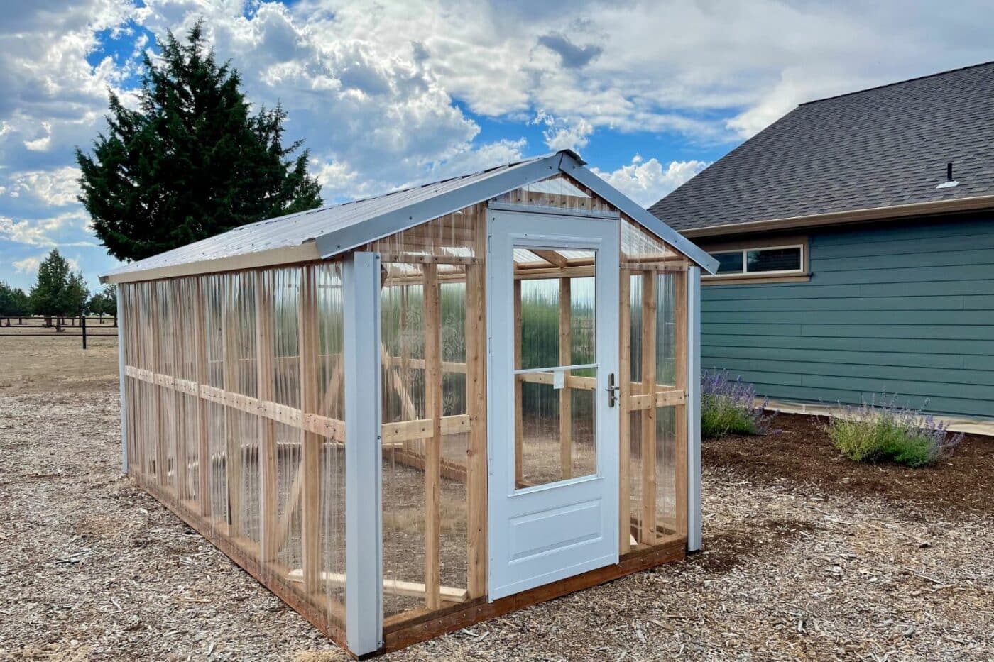 greenhouses and dog kennels in springfield or