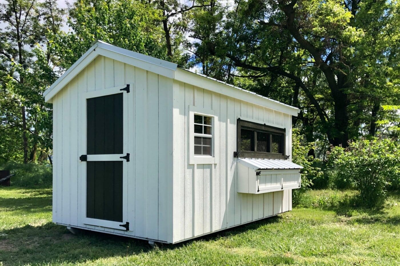Chicken-Houses-and-Dog-Kennels-in-Washington