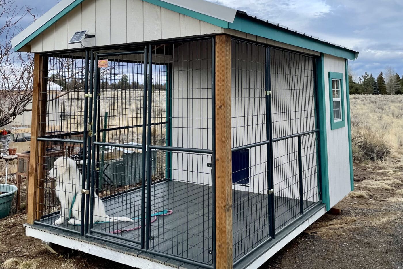 custom dog kennels in washington