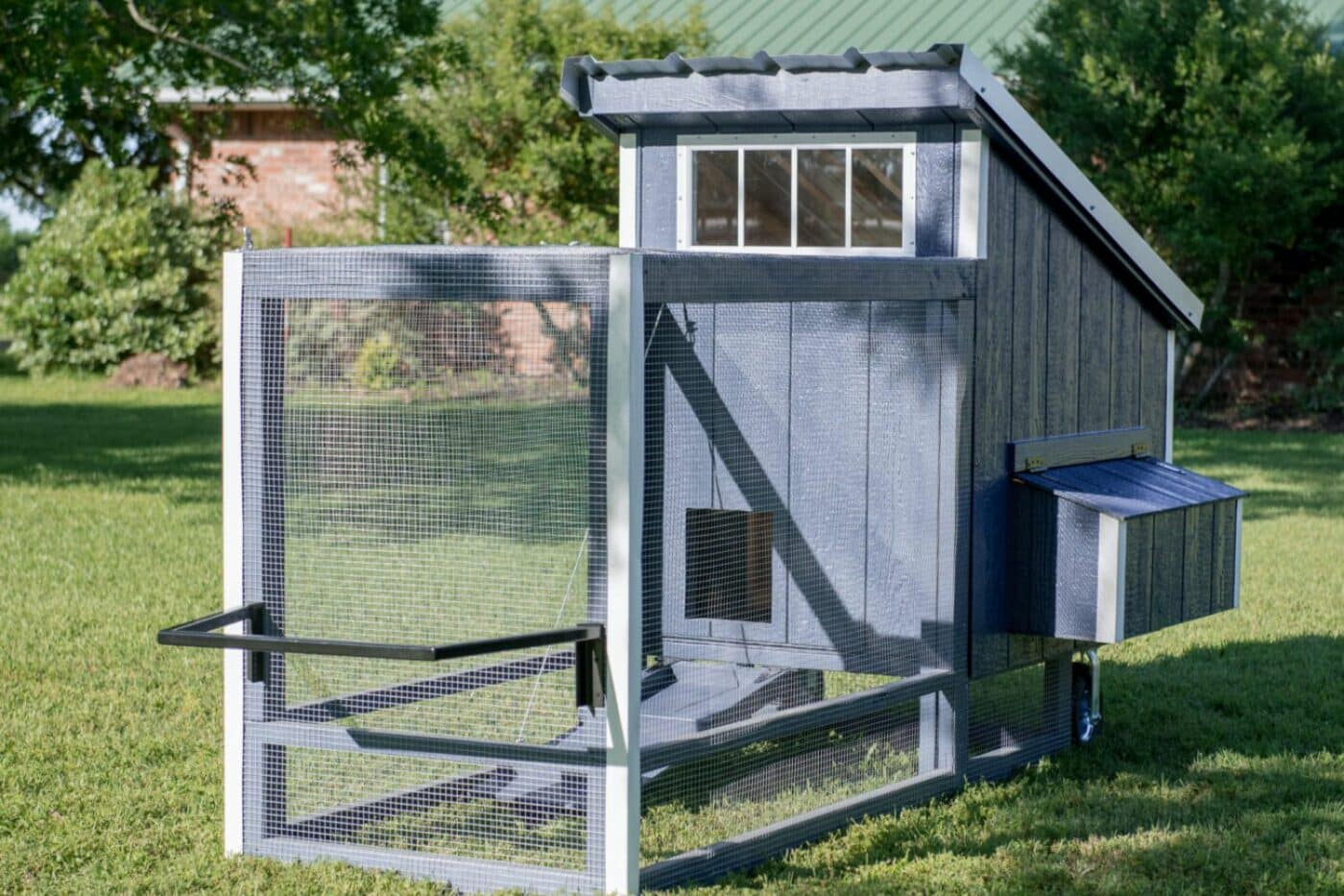 chicken coops and dog kennels in kirkland wa
