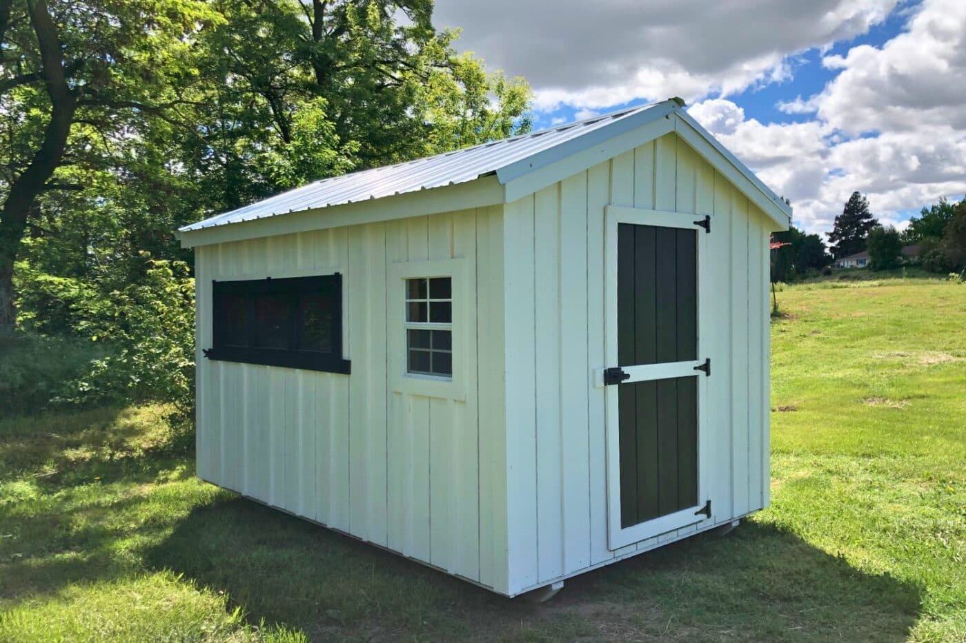 Standard Backyard Chicken Coops