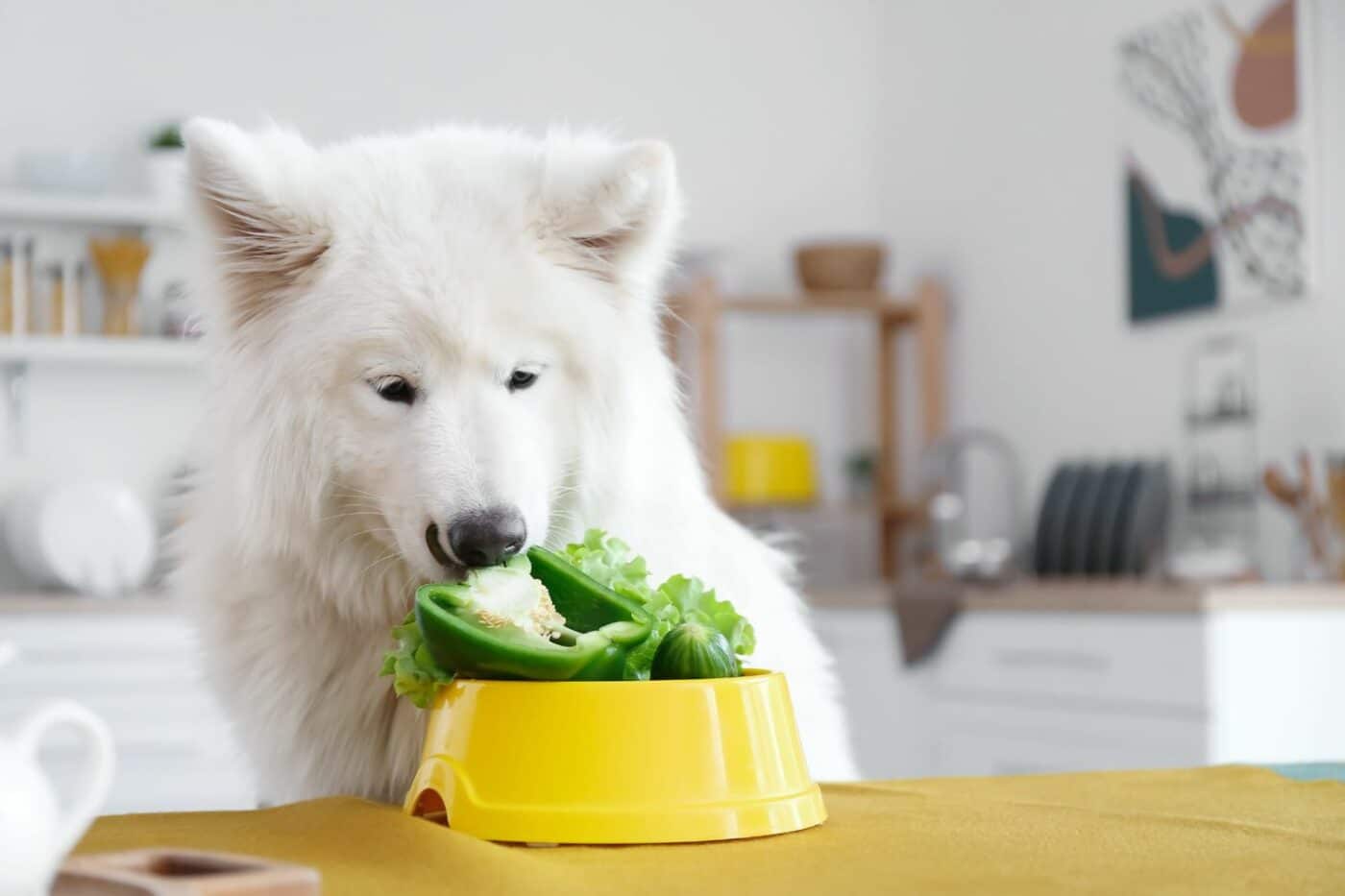 are greens dog safe foods