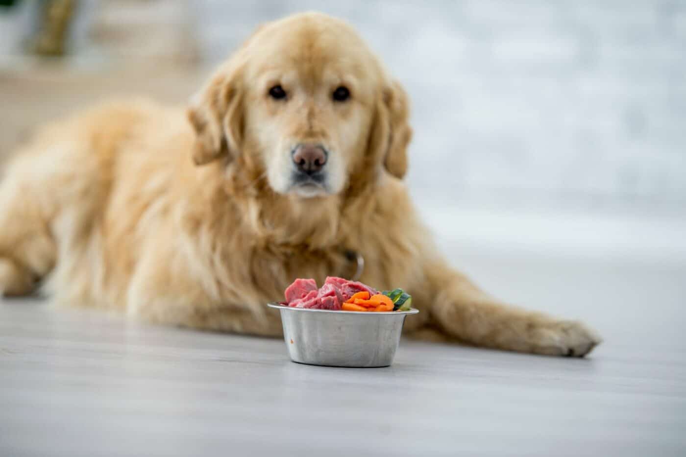are meats dog safe foods