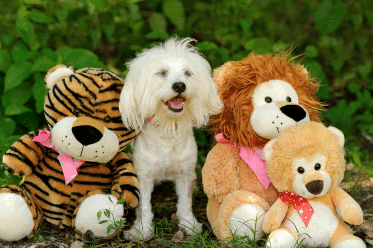 plush dog toys for dog shed kennels in or