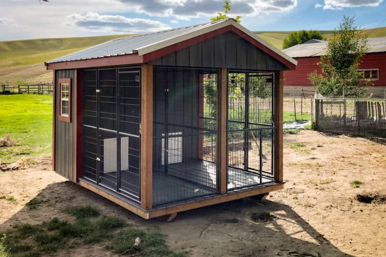 outdoor dog kennel for sale in hillsboro or