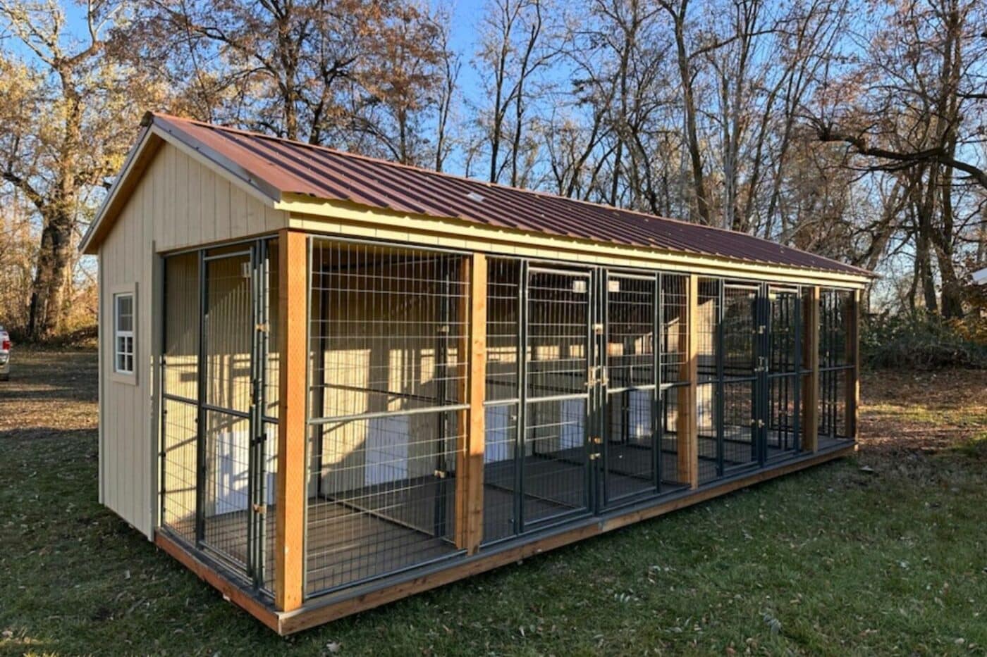 dog kennel for eleven dogs