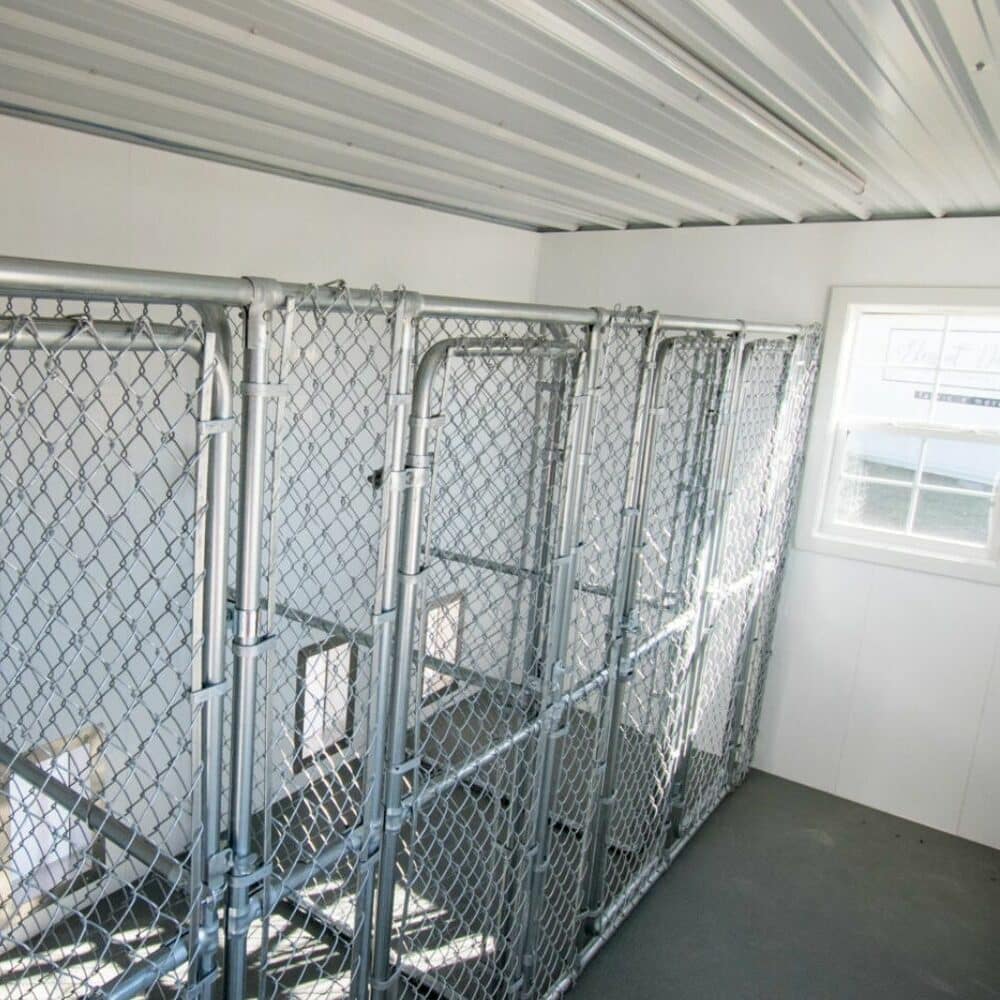 interior-of-dog-kennel-for-pitbulls