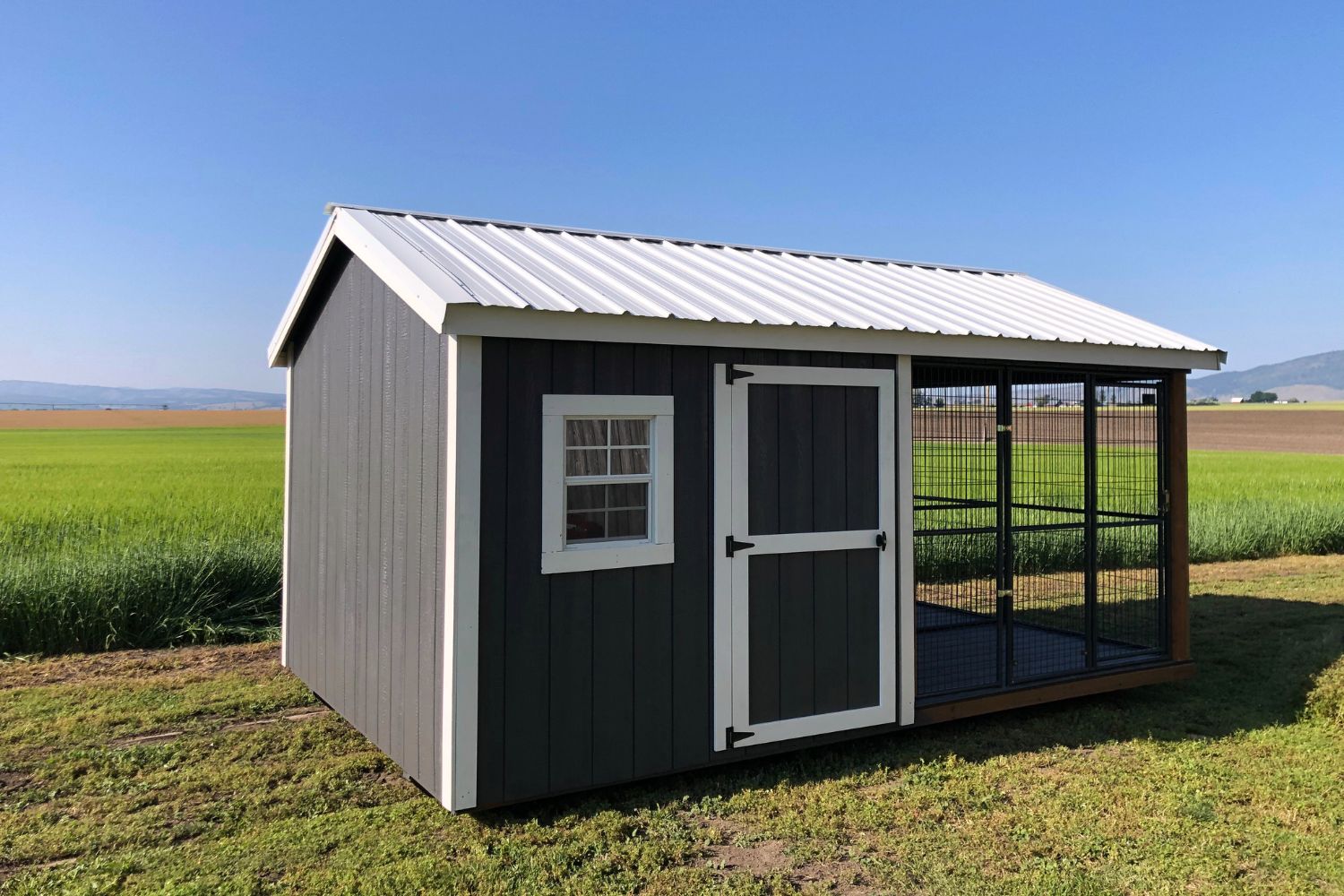 my barnyard- dog kennel for seven dogs- elite dog kennel