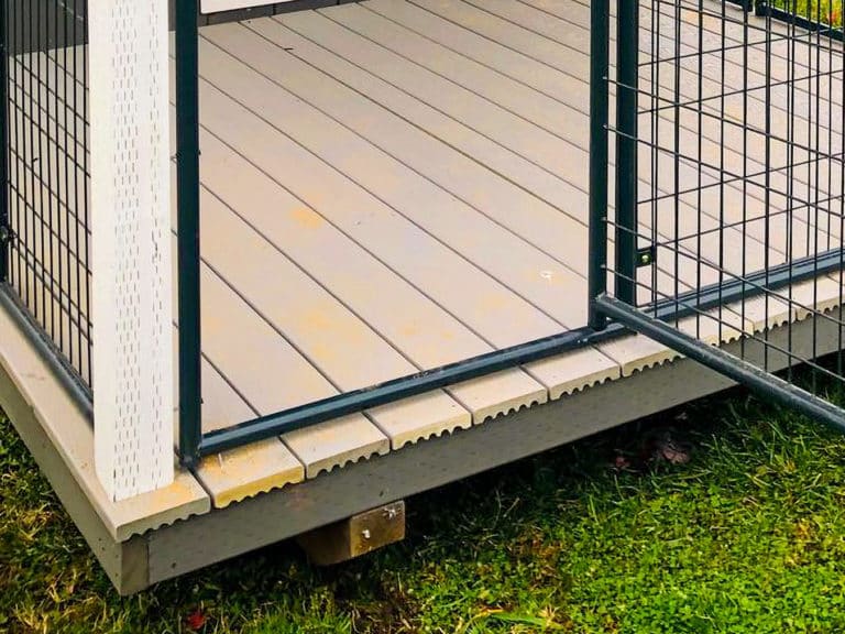 metal roof on outdoor dog kennel in washington