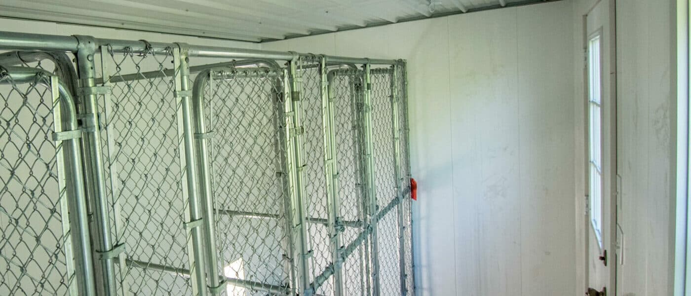 custom dog kennels interior in wa