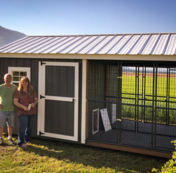 large dog kennel shed in ca