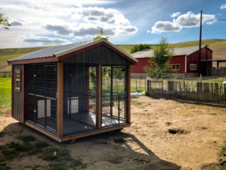 outdoor dog kennel in ca