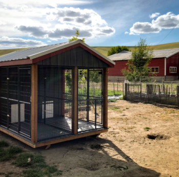 outdoor dog kennel in ca
