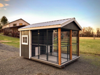 outdoor dog kennel shed in wa
