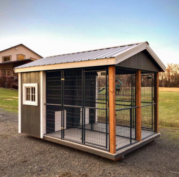 outdoor dog kennel shed in wa