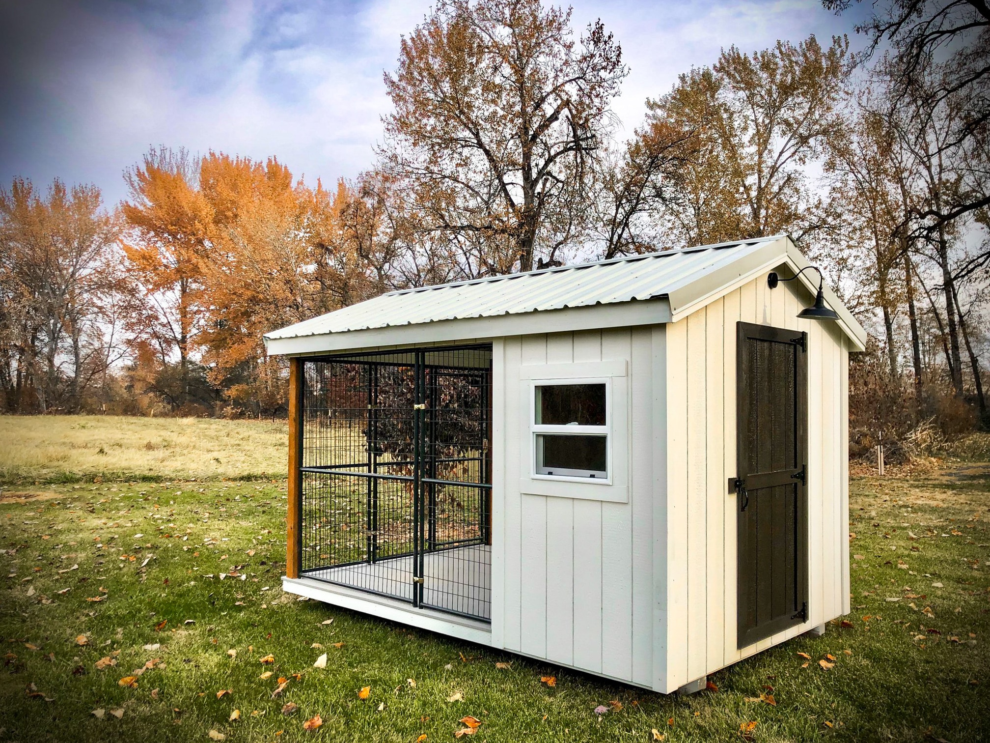 wooden dog kennel in wa