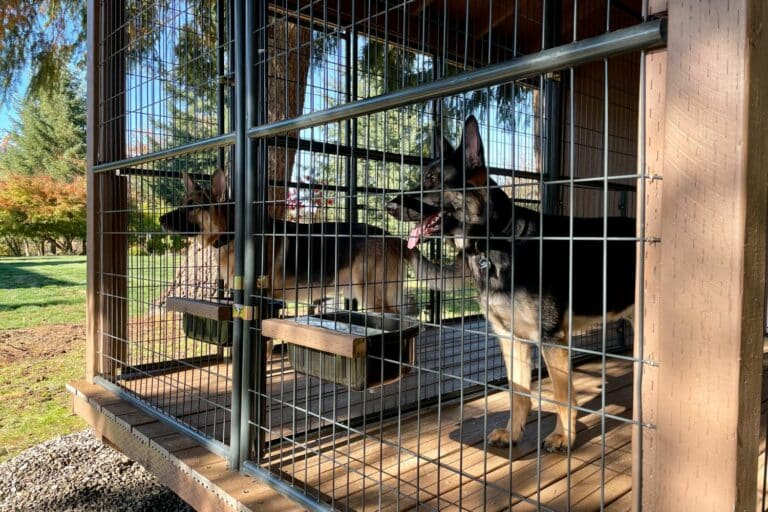 prefab dog kennels