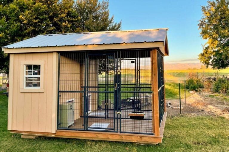 insulation for dog houses