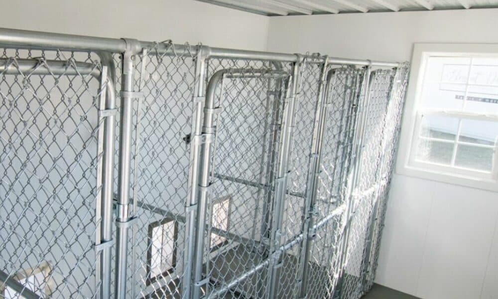 interior-of-dog-kennel-for-pitbulls